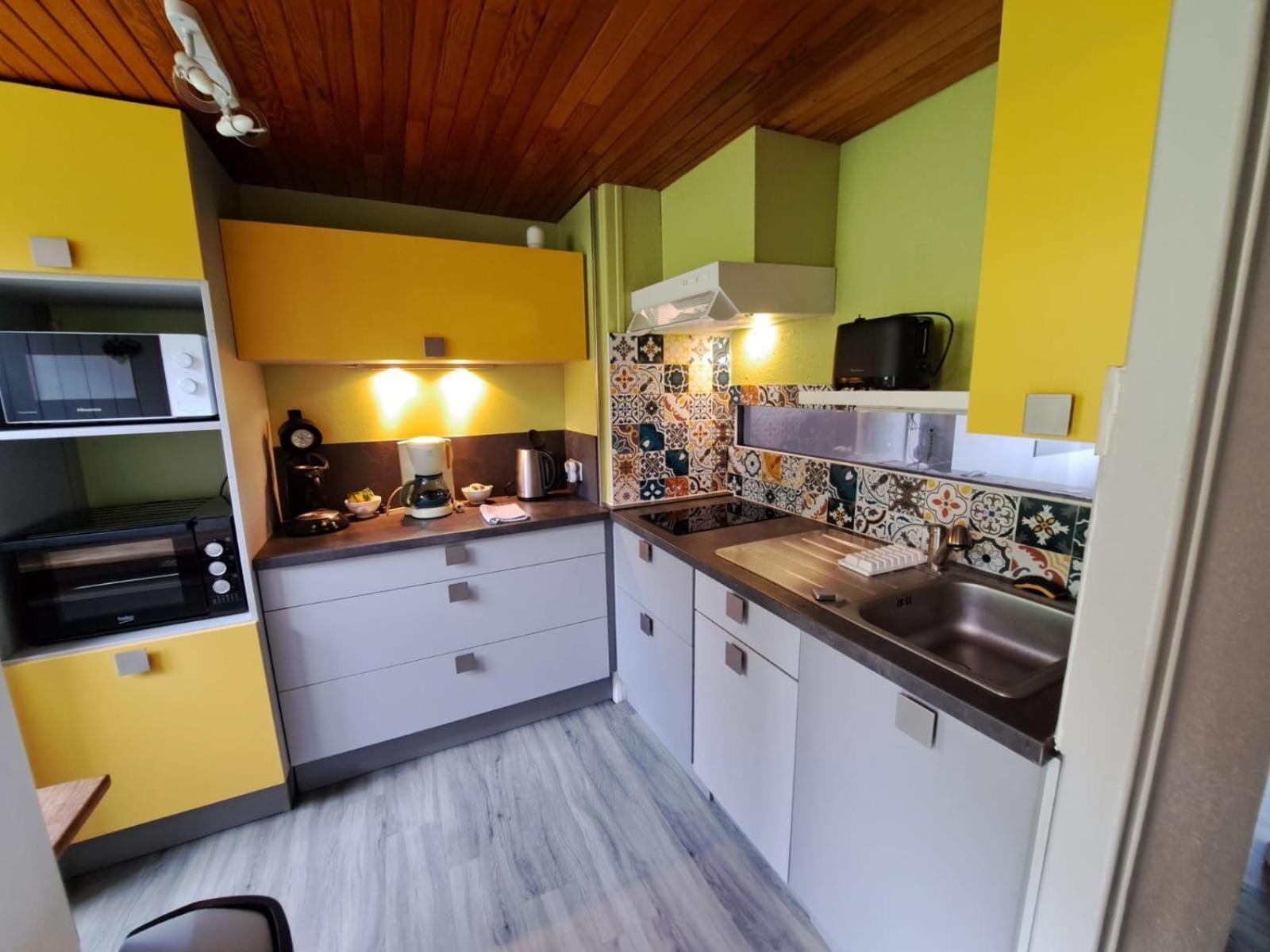Appartement Duplex Avec Vue Sur Le Sancy Et Garage Couvert Murat-le-Quaire Dış mekan fotoğraf