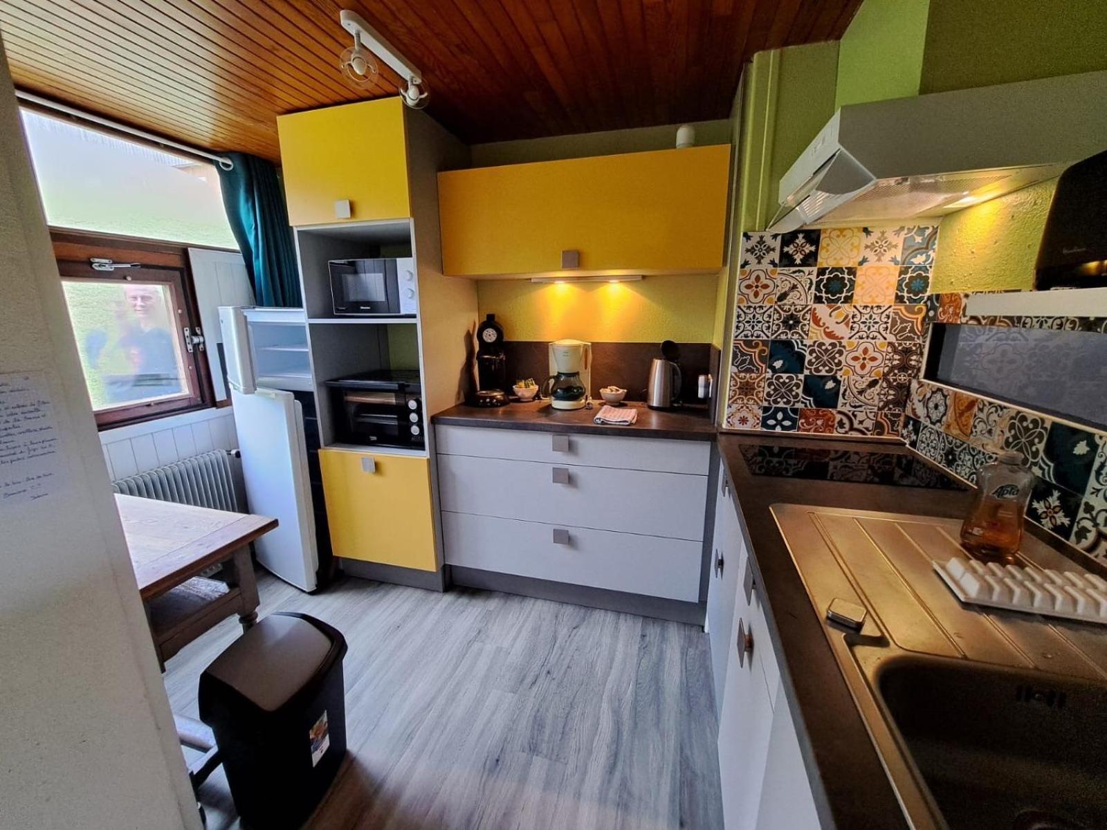 Appartement Duplex Avec Vue Sur Le Sancy Et Garage Couvert Murat-le-Quaire Dış mekan fotoğraf